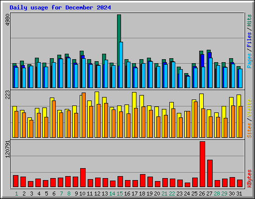 Daily usage for December 2024