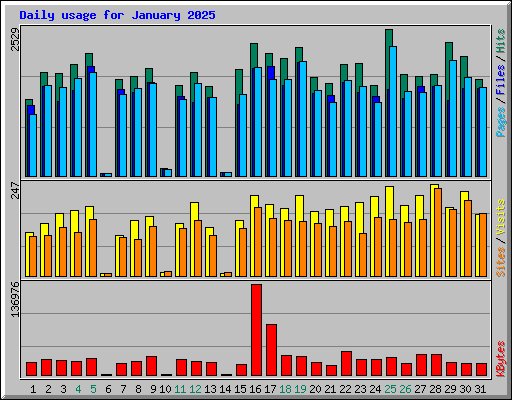 Daily usage for January 2025