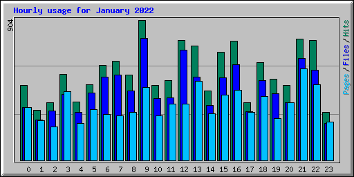 Hourly usage for January 2022