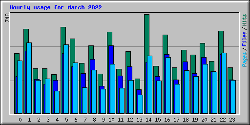 Hourly usage for March 2022