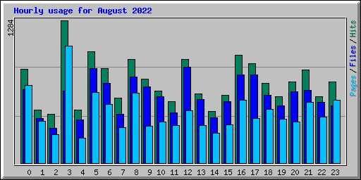 Hourly usage for August 2022