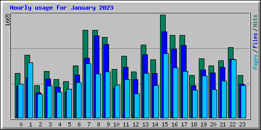 Hourly usage for January 2023