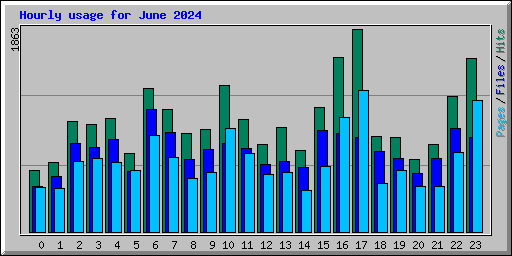 Hourly usage for June 2024