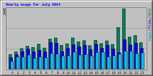 Hourly usage for July 2024