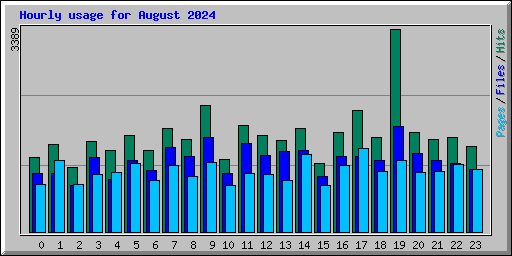 Hourly usage for August 2024