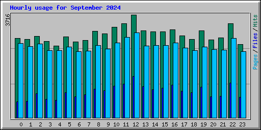 Hourly usage for September 2024