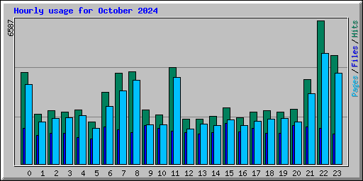 Hourly usage for October 2024