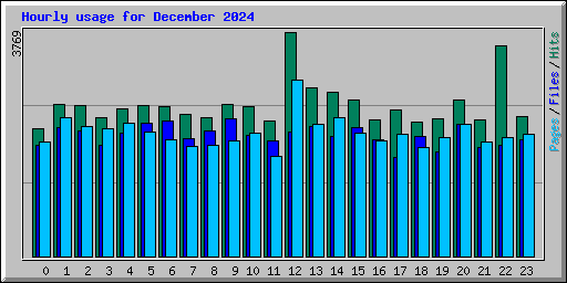 Hourly usage for December 2024