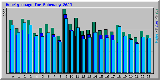 Hourly usage for February 2025