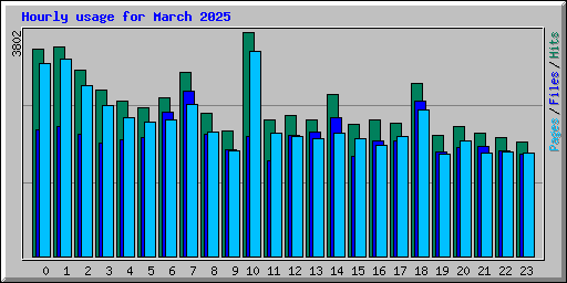 Hourly usage for March 2025