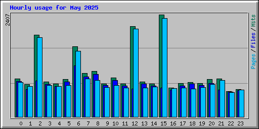 Hourly usage for May 2025