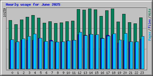 Hourly usage for June 2025