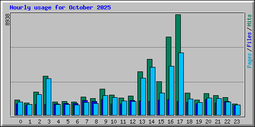 Hourly usage for October 2025