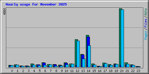 Hourly usage for November 2025