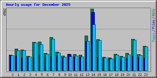 Hourly usage for December 2025
