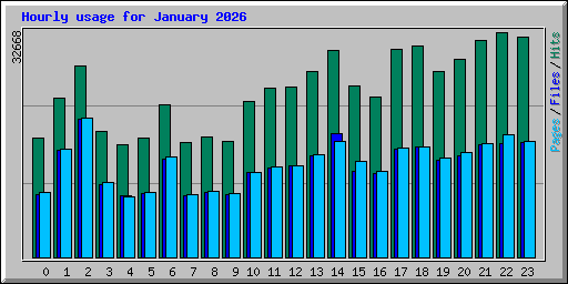 Hourly usage for January 2026