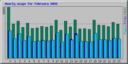 Hourly usage for February 2026