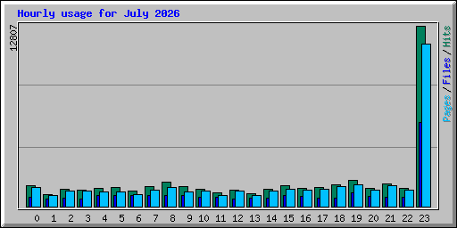 Hourly usage for July 2026